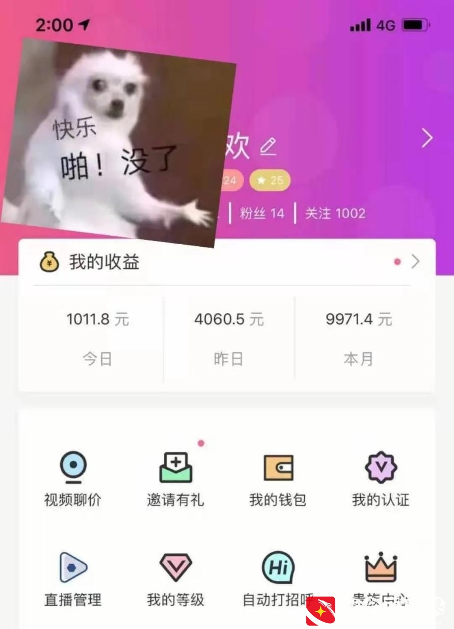 聊天项目，一天就能赚500元，它是如何做的