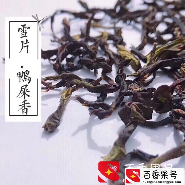 想开个茶叶店怎么进货