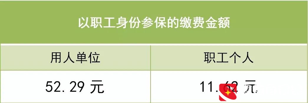 深圳社保二档三档缴费金额和医保待遇标准