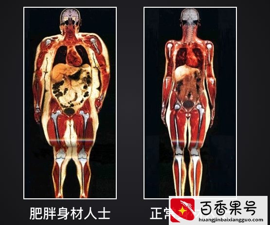 我国成年人平均身高、体重公布，你超重了吗？