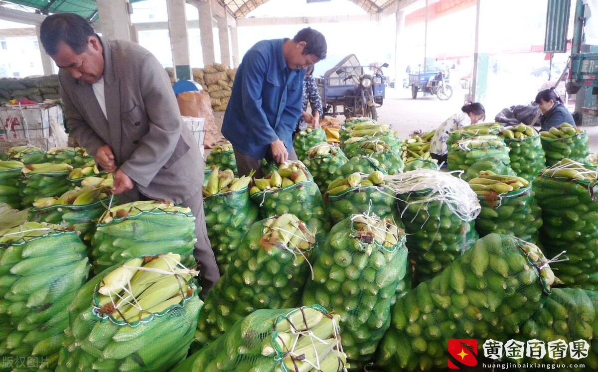 都说买菜一个月能赚上万块钱，其中要受的苦你知道吗？