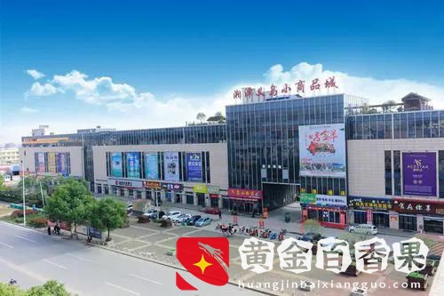 中国义乌市，你想买的小商品在这里都有，经济秒杀很多地级市