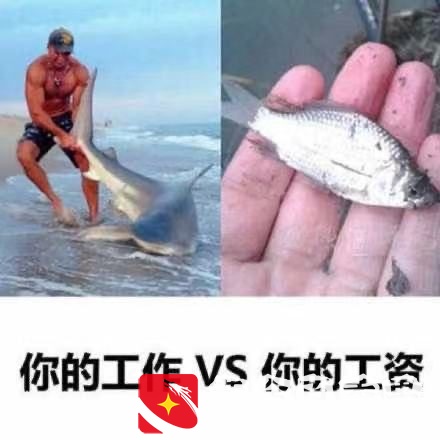 大意了啊！在苏州找工作怎么这么难？告辞