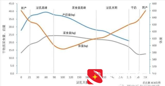 奶牛一天能产40公斤的奶吗？现在鲜奶的价格是多少？