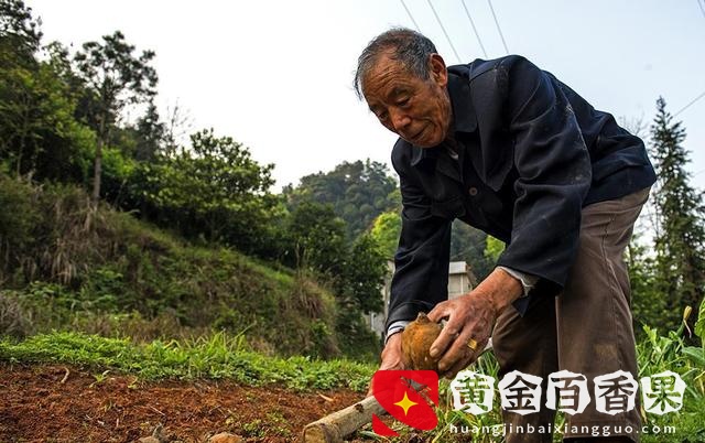 开一家老年用品店需要多少钱