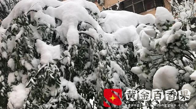 雷打雪，人吃铁！雷打冬，十个房子九个空