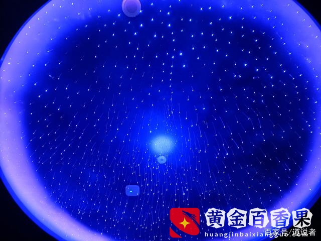 马云“一夜”白头，反思