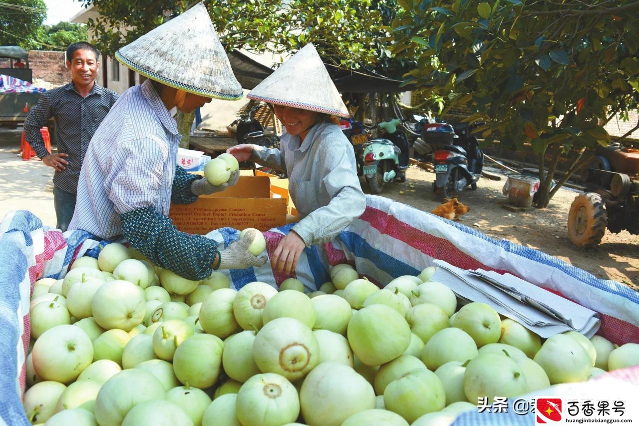 目前很火爆的生意有哪些？这五个项目值得推荐，快来学学吧