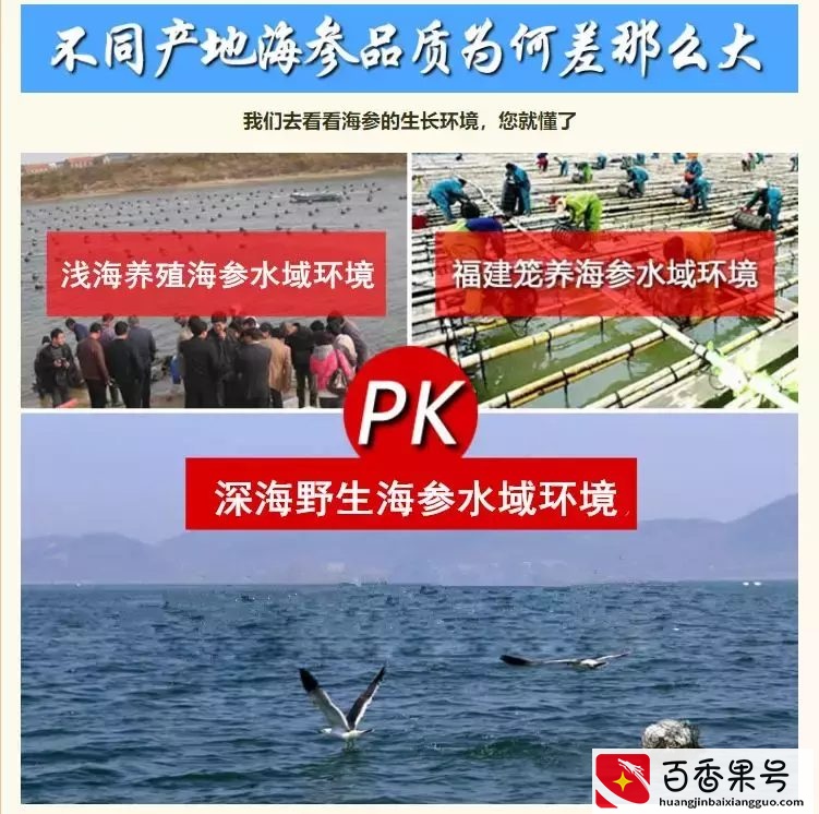 哪里的海参好？海参产地大揭秘