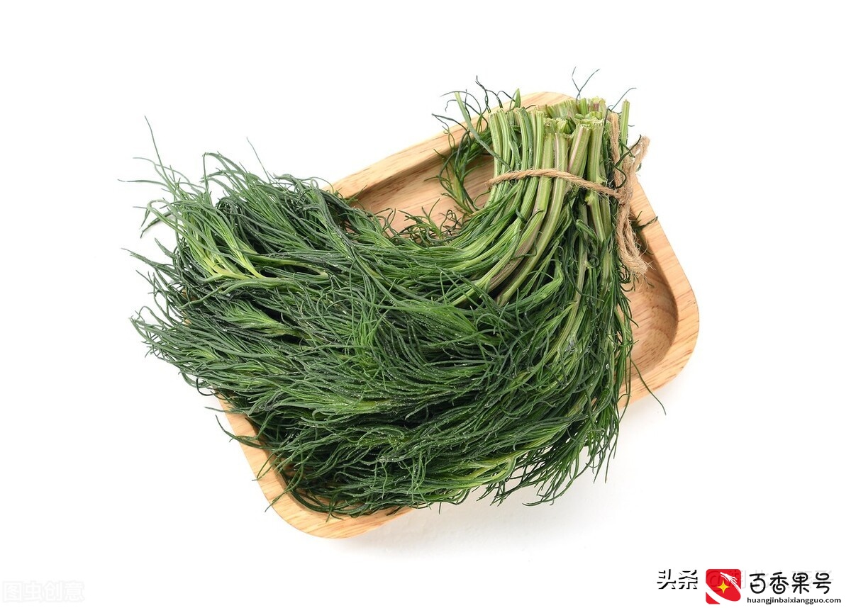 52种野菜大图片，教你认识不同的野菜和吃法，你想要的野菜这里有