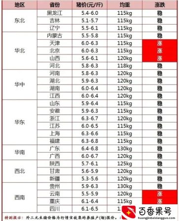 2022年底猪价大涨