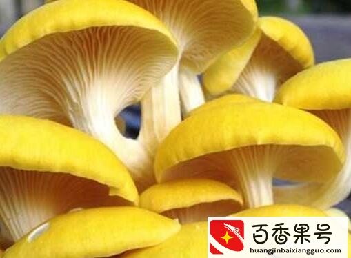 菜市场卖什么最赚钱？菜市场除了卖菜卖什么最赚钱？