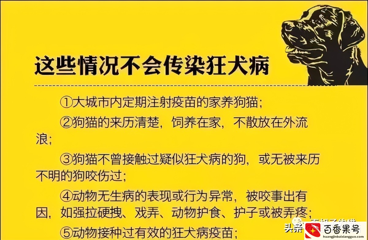 我被猫咪抓伤了，会死吗？《最全猫咪狂犬病脱恐大全》