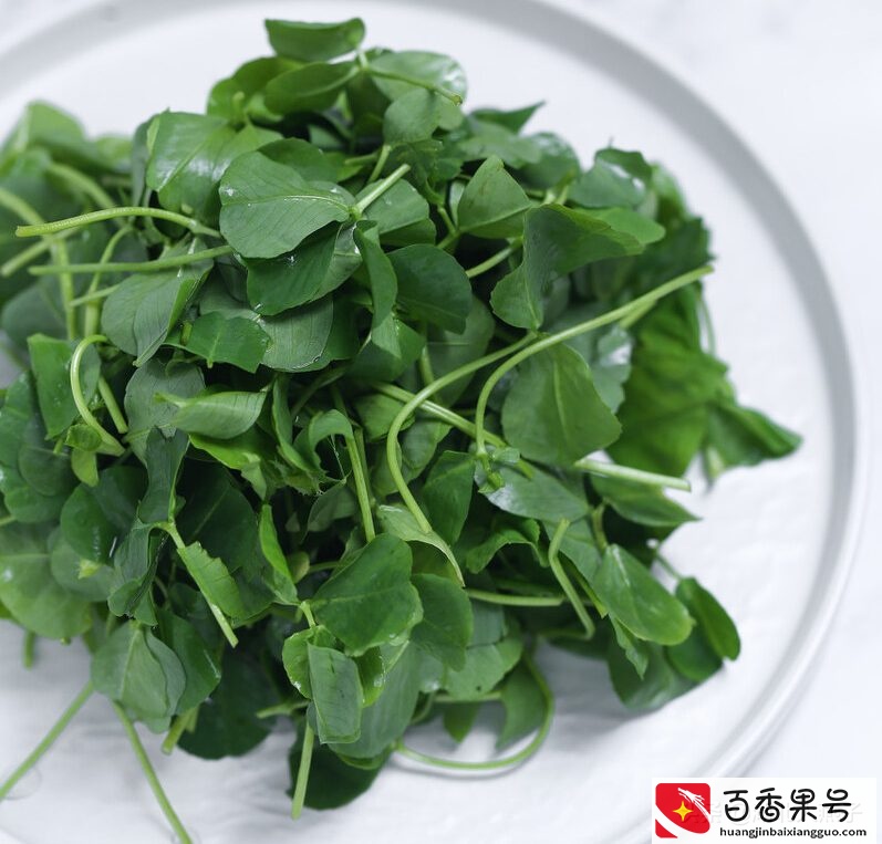 52种野菜大图片，教你认识不同的野菜和吃法，你想要的野菜这里有