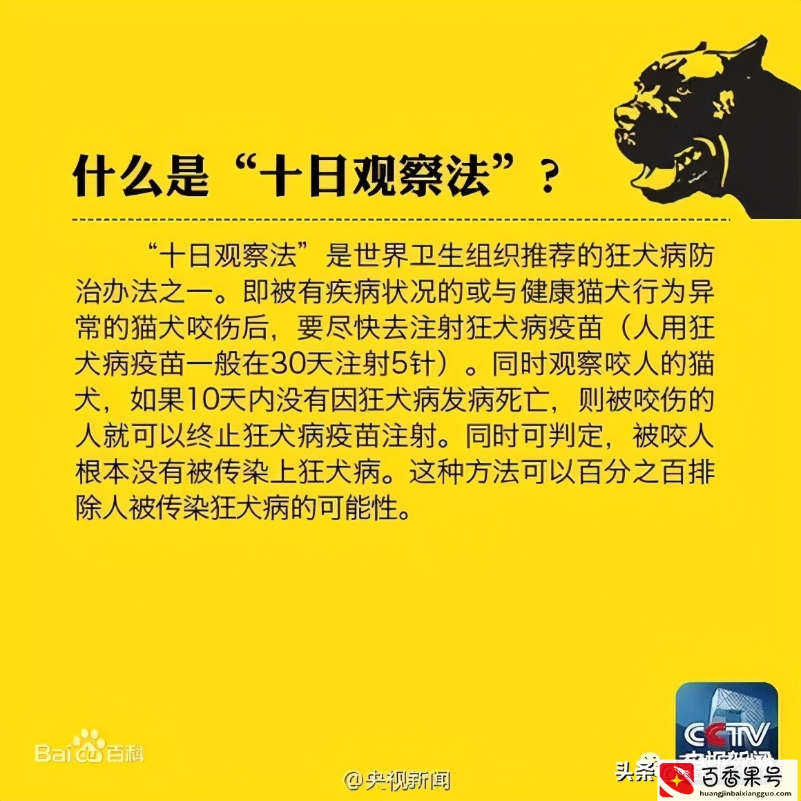 我被猫咪抓伤了，会死吗？《最全猫咪狂犬病脱恐大全》