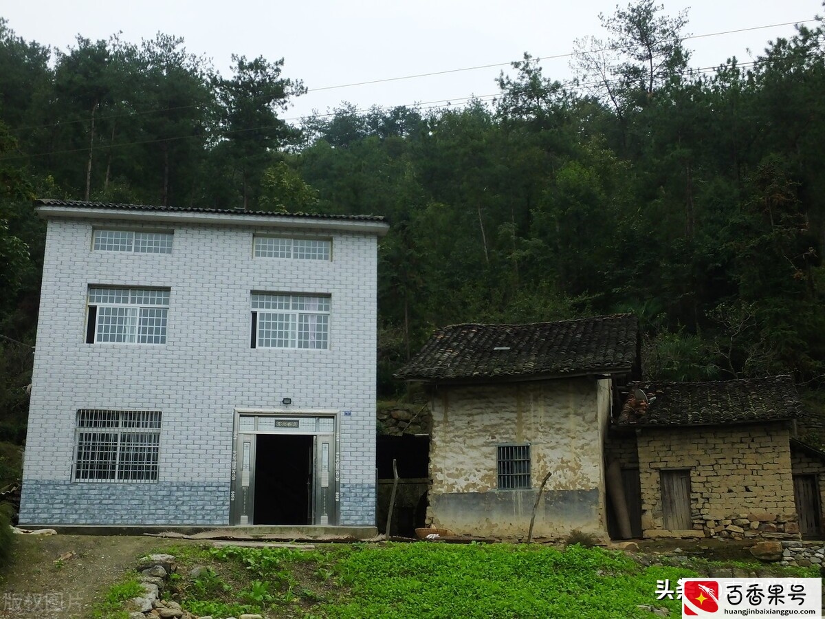 非农户子女能继承宅基地和承包地吗？继承要满足什么条件？