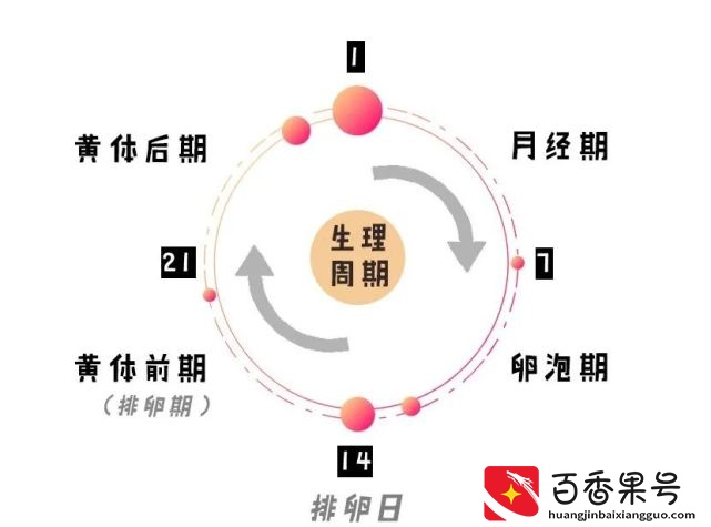 生理期是不是减肥福利期？姨妈期利用好能月瘦10斤？