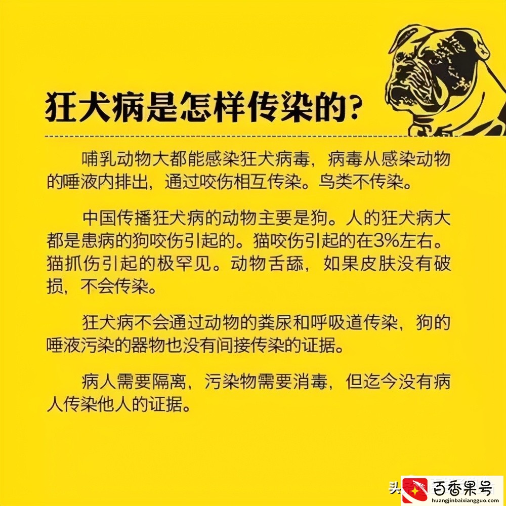 我被猫咪抓伤了，会死吗？《最全猫咪狂犬病脱恐大全》