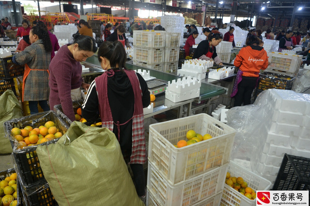 靠农村快递代收点，年收入40万，普通人也有操作机会