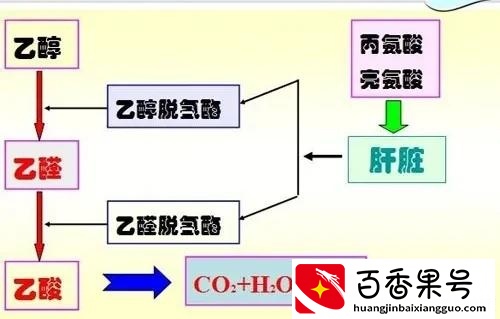 什么东西解酒最好最快的速度