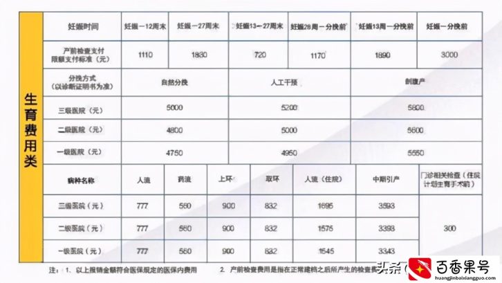 生育保险要交多久才能报销？