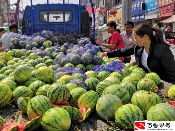 一个人单干的小生意，看着不起眼，却可日赚1000