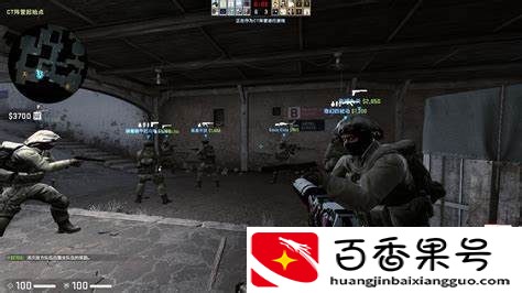 CSGO这个游戏真的歧视新手玩家吗？你怎么看...