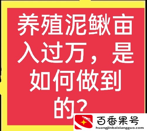 养殖泥鳅的利润、产量如何？养殖泥鳅需要什么条件，一文说清