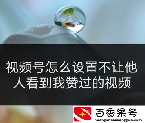 V视频号如何不让好友看点赞视频 V视频号在哪设置不展示点赞视频