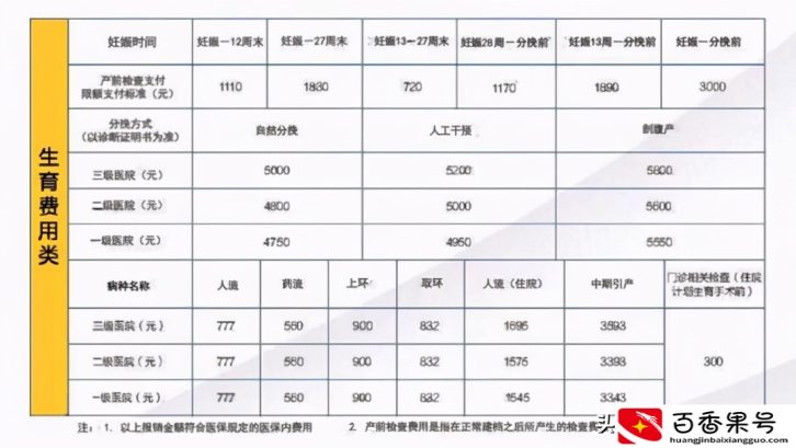 生育保险要交多久才能报销？