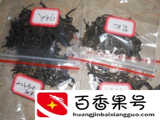 经常喝茶叶对身体有什么好处和坏处