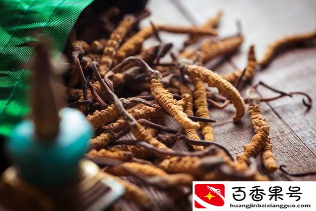 冬虫夏草价值高，怎么吃最合适？这篇文章教给你