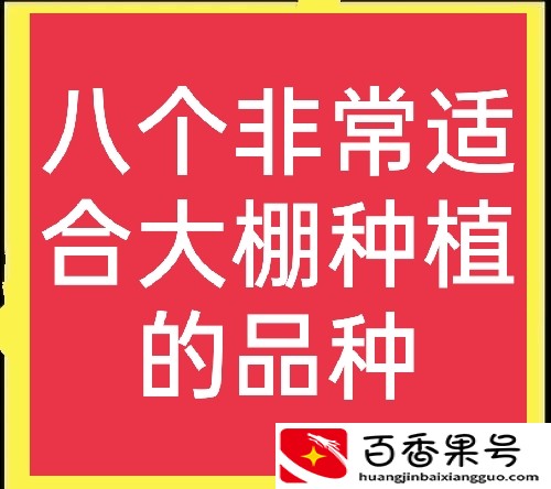 大棚种植什么能赚钱？推荐八个高利润品种，想赚钱的过来看