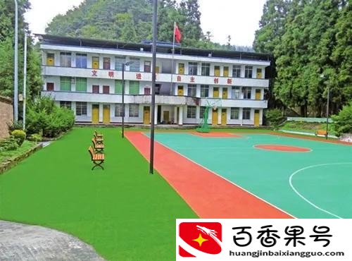 我对学校建议10条简短