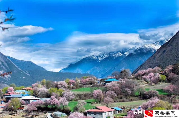 香格里拉在哪里个城市