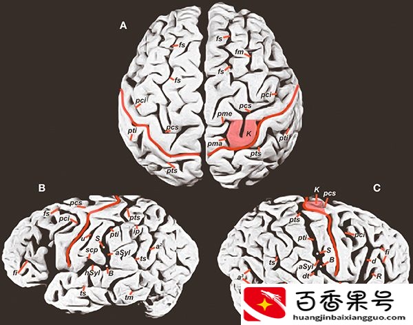 爱因斯坦的智商是多少