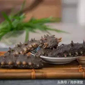 海参的挑选怎么挑