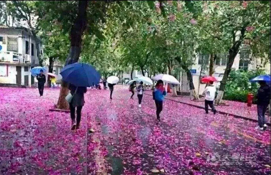 广州什么时候停雨