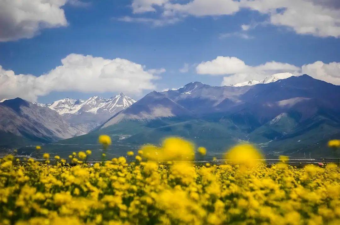 6月份适合旅游的地方