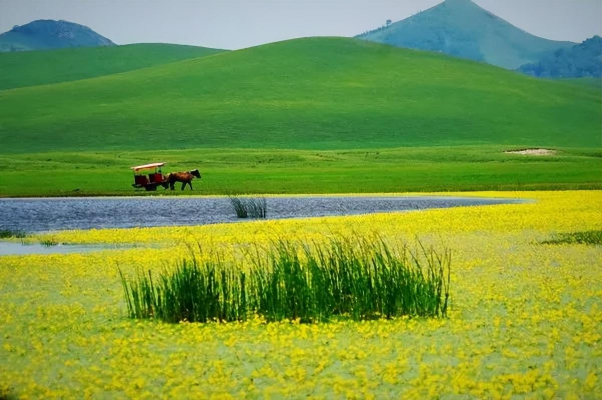 6月份适合旅游的地方