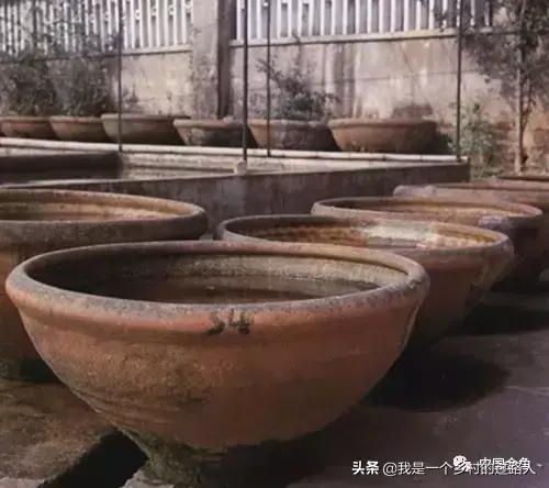 古法养鱼不换水怎么保持清澈