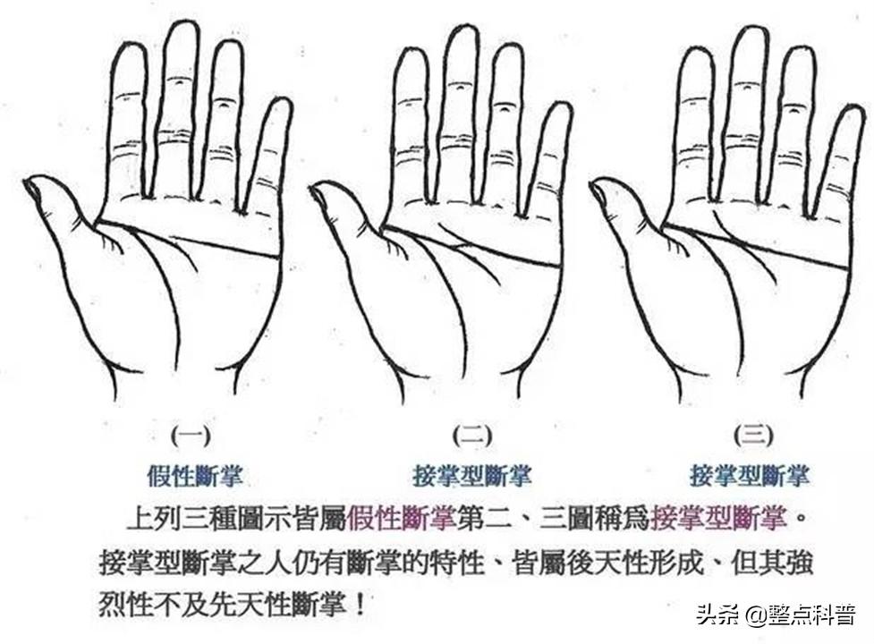 男孩断掌纹的命运