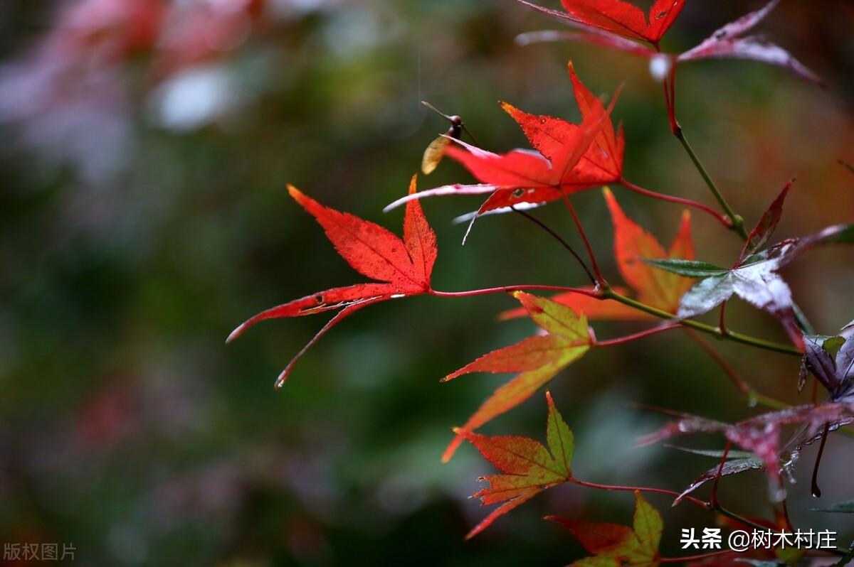 韬光养晦厚积薄发的人