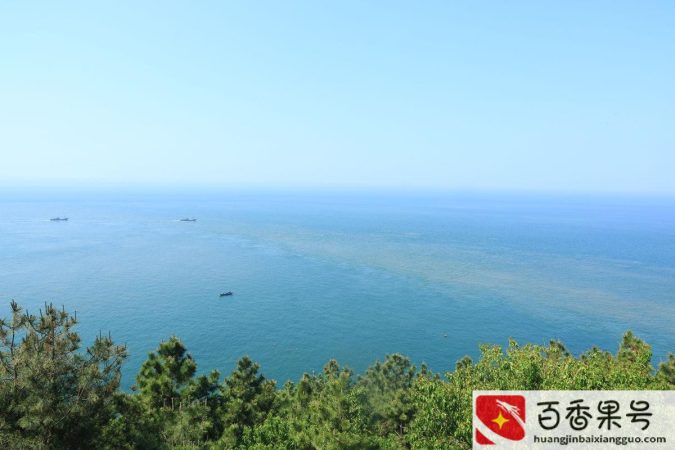 渤海湾在哪个城市