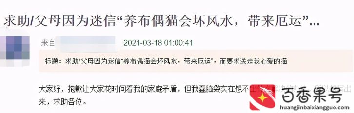 自从养了猫运气特别差怎么办