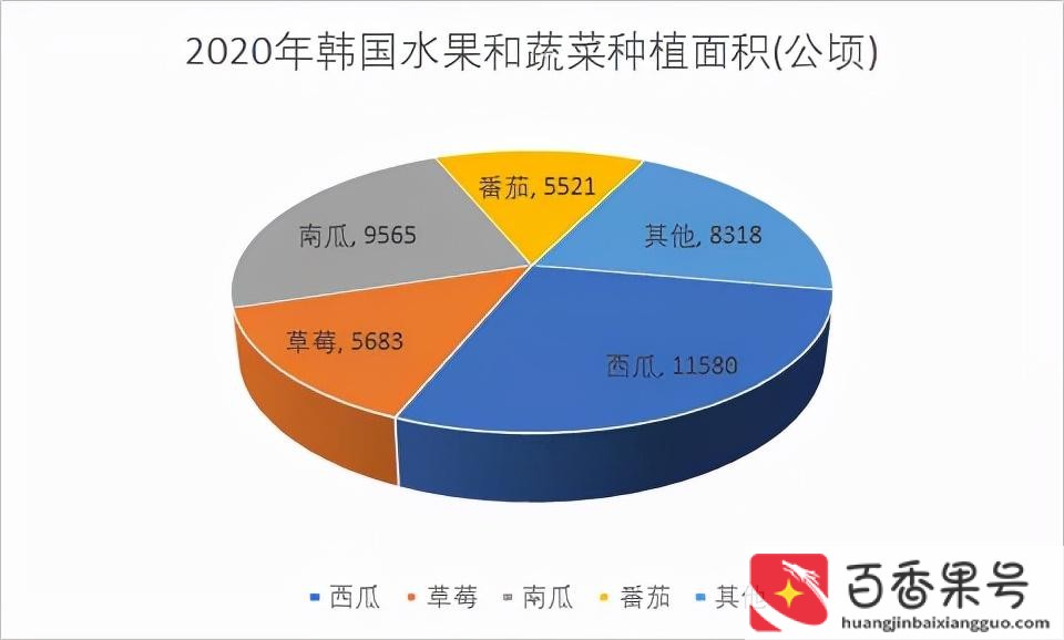 今年西瓜为什么这么贵