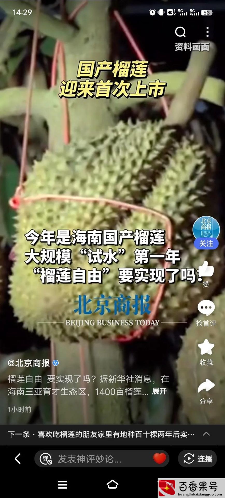 中国产榴莲最有名的地方