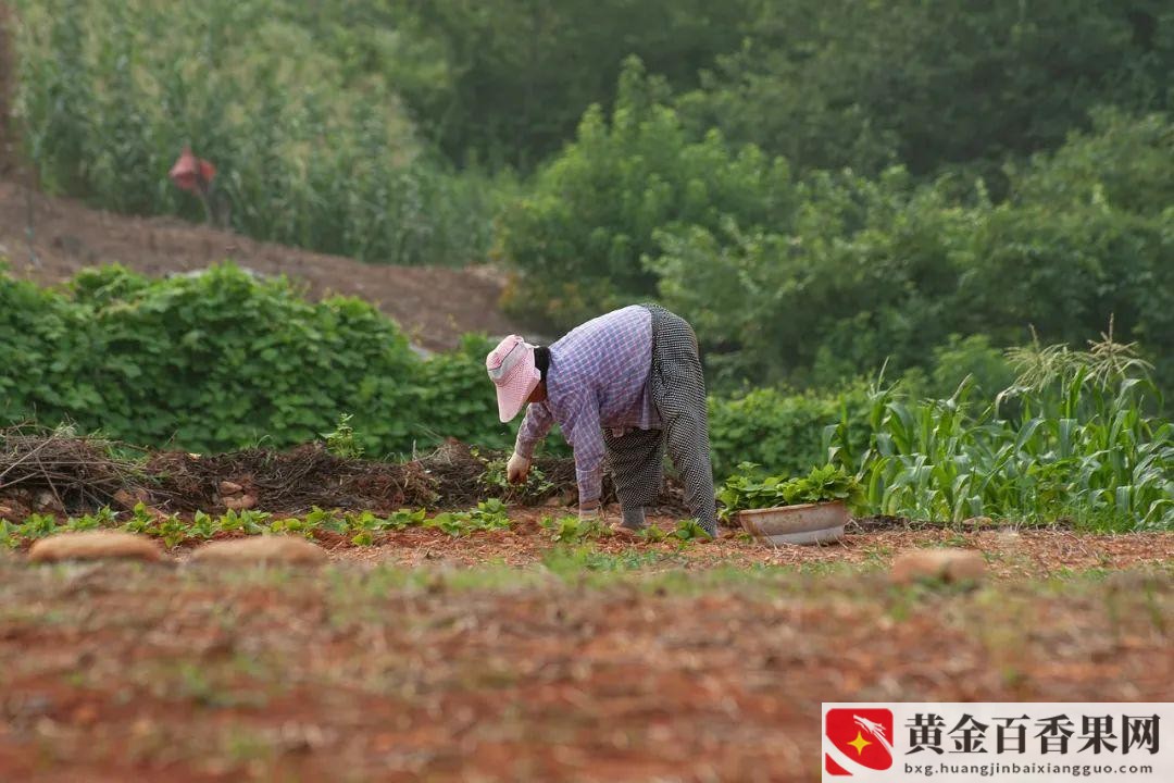 初中毕业干什么活最挣钱